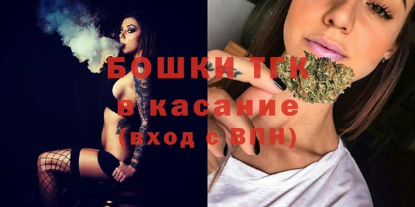 прущие грибы Аркадак