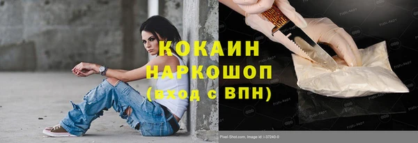 прущие грибы Аркадак