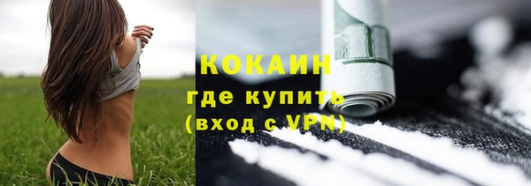 прущие грибы Аркадак