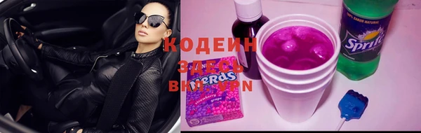 ПСИЛОЦИБИНОВЫЕ ГРИБЫ Арсеньев