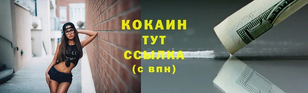 ПСИЛОЦИБИНОВЫЕ ГРИБЫ Арсеньев