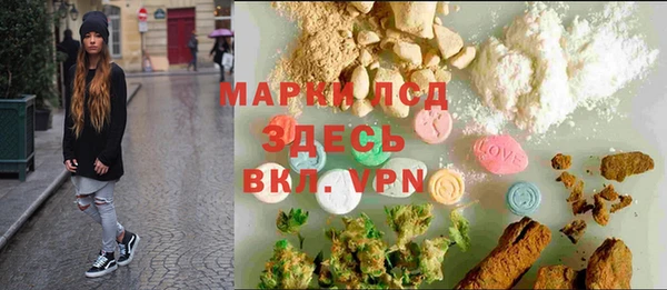 ПСИЛОЦИБИНОВЫЕ ГРИБЫ Арсеньев