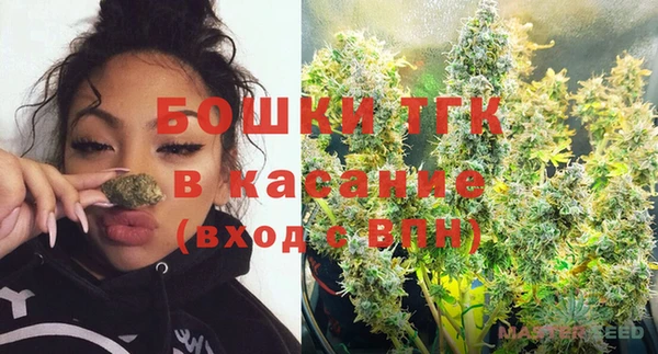 прущие грибы Аркадак
