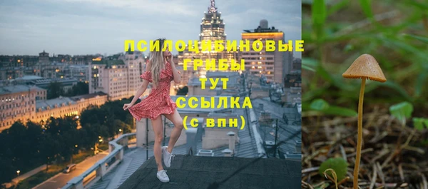прущие грибы Аркадак