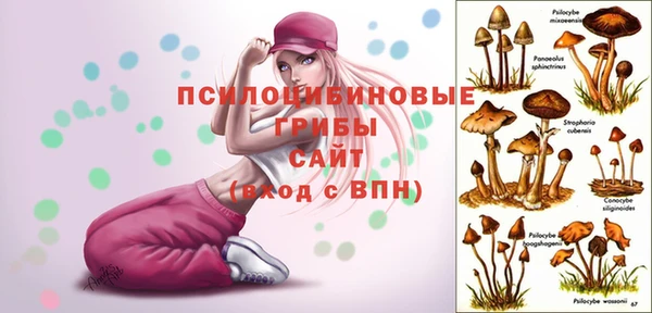 первитин Армянск
