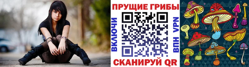 гидра ONION  Пролетарск  Галлюциногенные грибы Psilocybine cubensis 